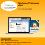 DiskGenius Professional interface showing data recovery and disk management tools