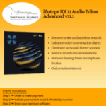 iZotope RX 11 Audio Editor Advanced software interface for professional audio repair