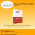 Primavera P6 Professional software interface for advanced project management on Windows