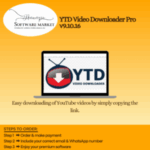 YTD Video Downloader software interface showing video download and conversion options