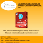 VovSoft SEO Checker dashboard showing link analysis and on-page SEO insights