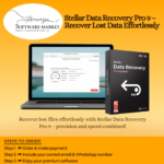 Stellar Data Recovery