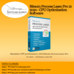 Bitsum Process Lasso