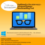 Geekbench 6 Pro software interface showing system benchmarking results on PC