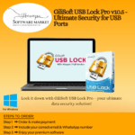GiliSoft USB Lock Pro dashboard showing USB access restrictions