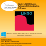 Lindo LINGO interface showing linear and nonlinear optimization model tools