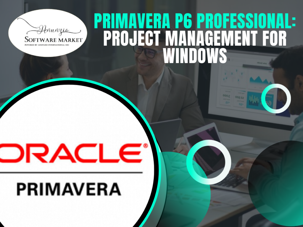 Primavera P6 Professional