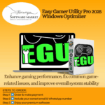 Easy Gamer Utility Pro Windows software for gaming performance optimization